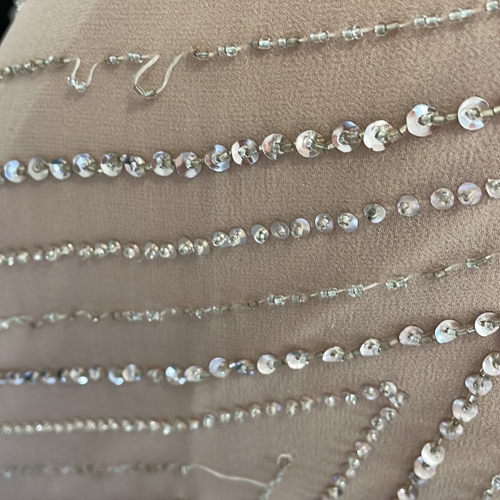 Xscape Blush Beaded Mesh Maxi Dress - Picture 9 of 13